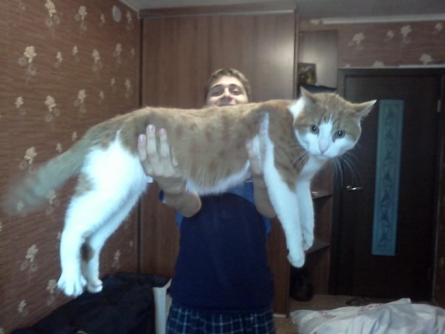 <span style="font-weight: bold;">1этап обучения</span>: 2-х дневный тренинг 4-7чел в офисе (7 -10 выездной)Каждый участник за своим компьютером, со СВОИМИ ДАННЫМИ.Начисляем и рассчитываем 1 месяц. 3-5человек .<br>